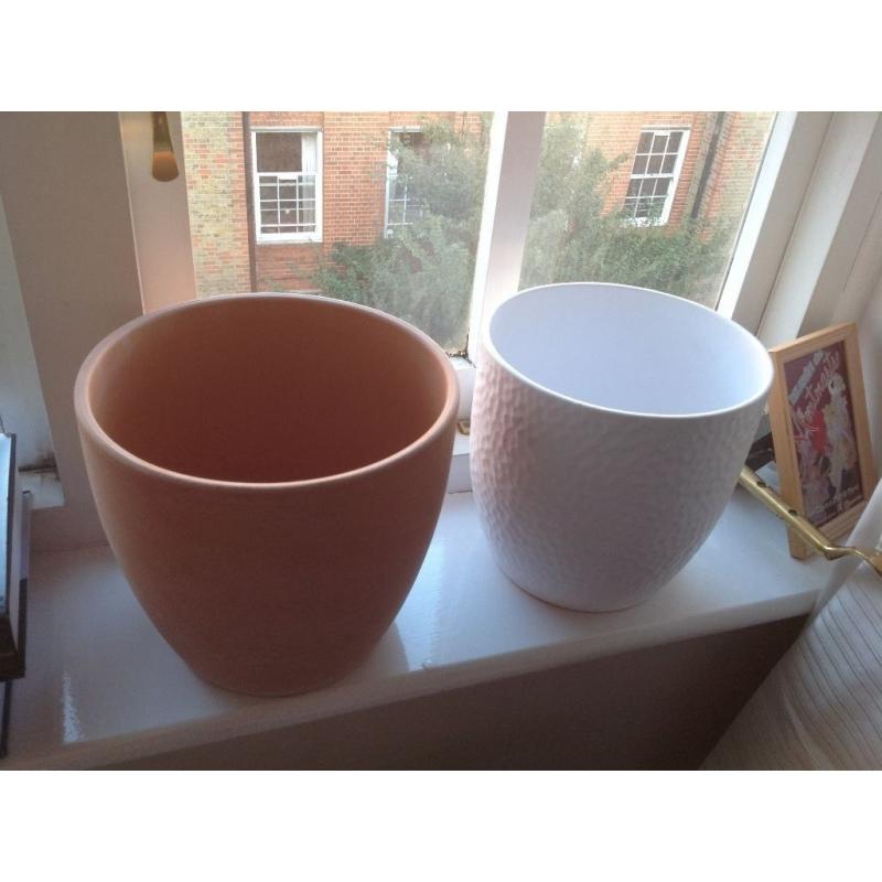 2 flower pots (1terra and 1white)