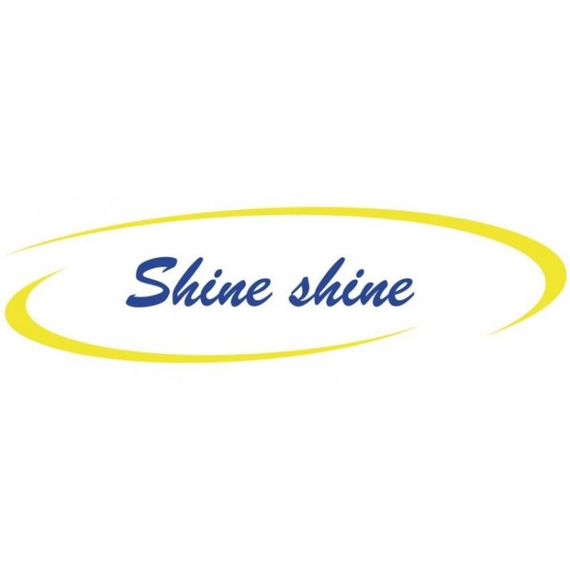 Domestic and commercial cleaners
