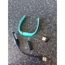 Fitbit flex