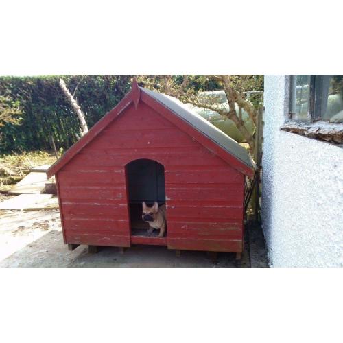 DOG KENNEL