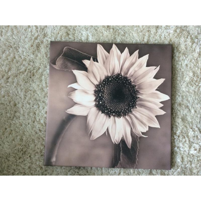 2 X beautiful flower canvas prints