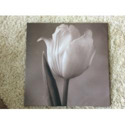 2 X beautiful flower canvas prints