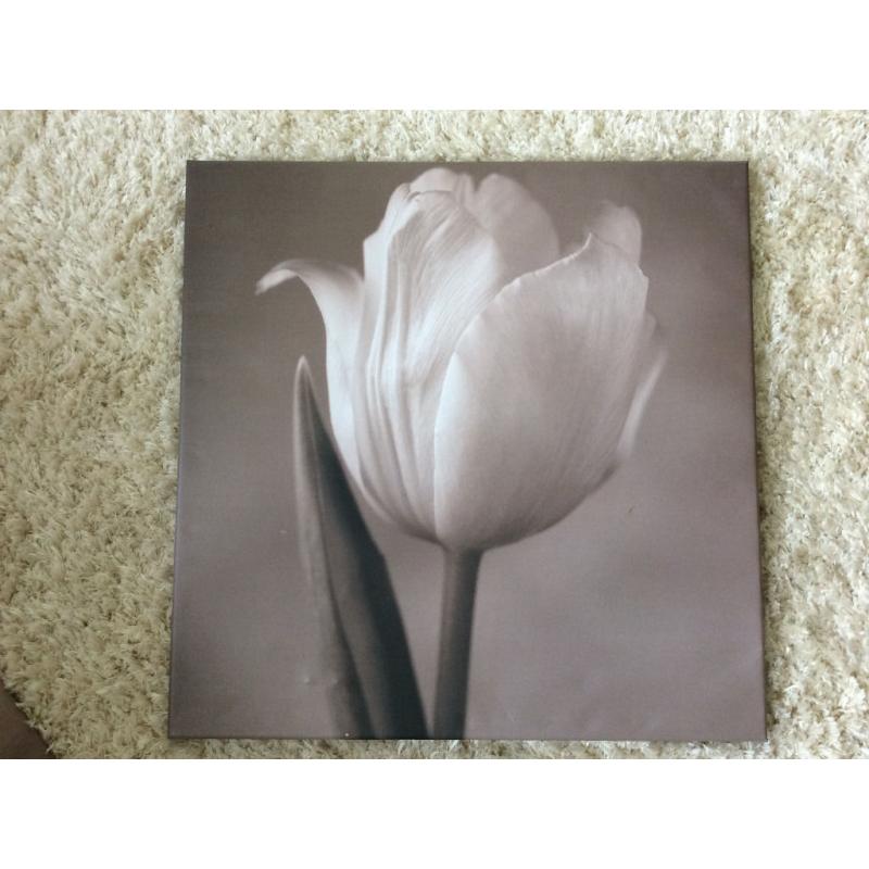2 X beautiful flower canvas prints