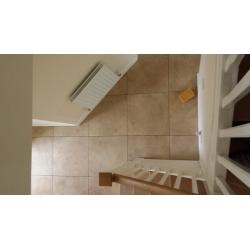 Dynamic Tiling LTD