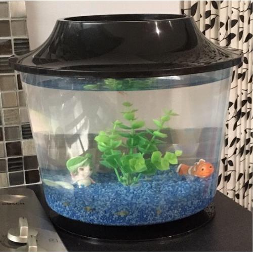 Fish Bowl Tank etc