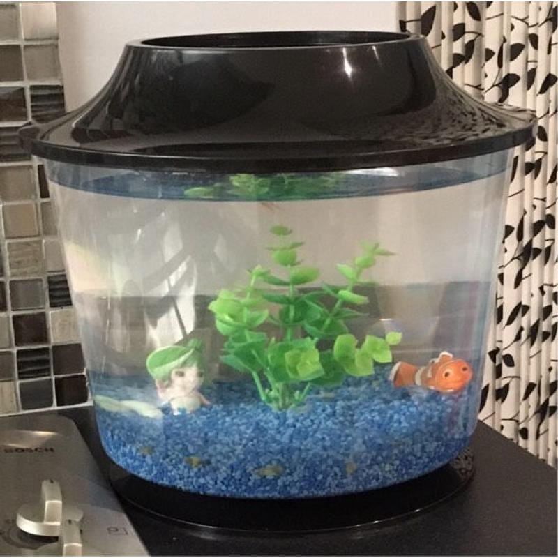 Fish Bowl Tank etc