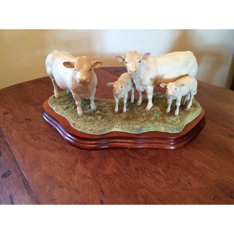 Charolais Family Group