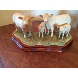 Charolais Family Group