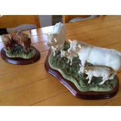 Charolais Family Group