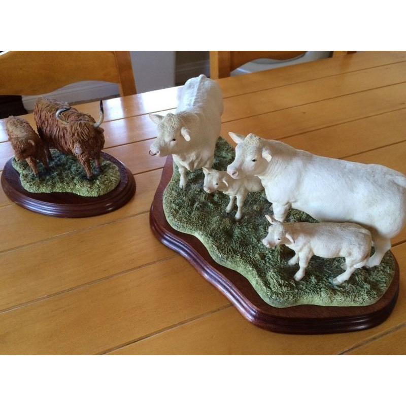 Charolais Family Group