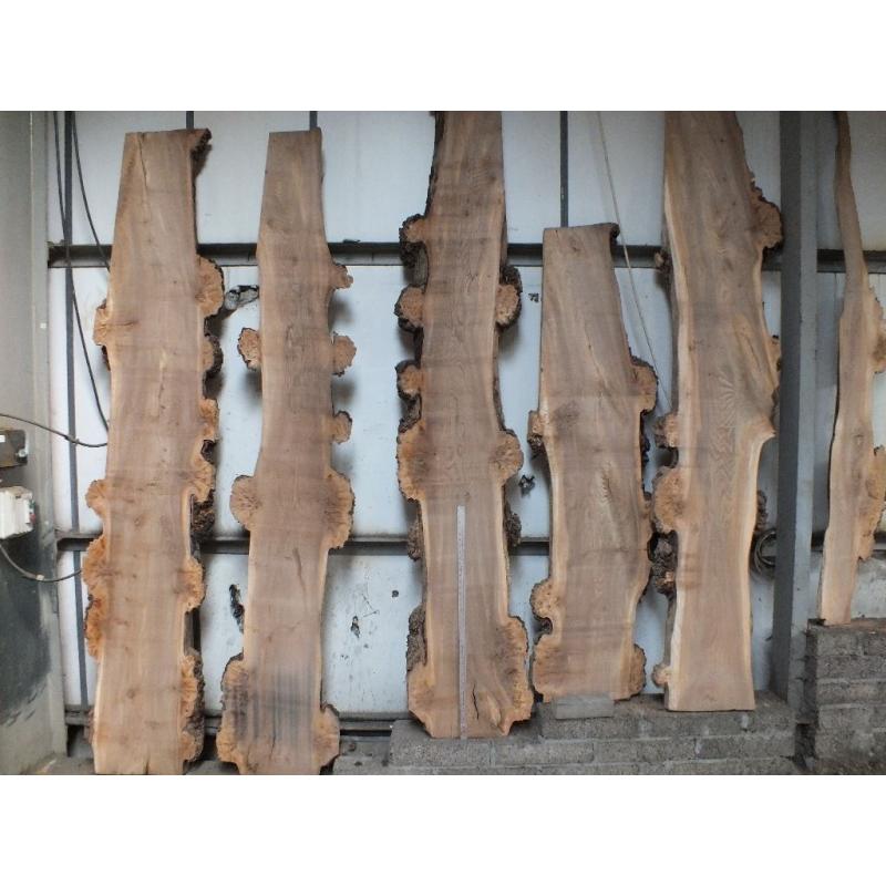 Hardwood timber slabs for sale, Dunoon Scotland Ideal for projects, Various sizes. Yew, Elm, Oak etc