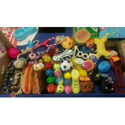 Dog toys bundle