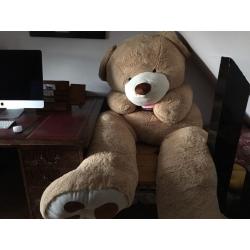 GIANT 8FT BEAR - VCG