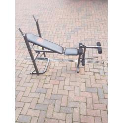 Pro fitness multi-use workout bench.