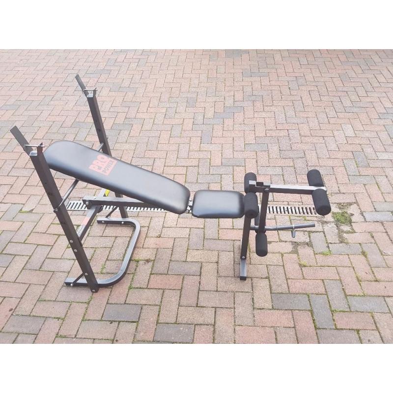 Pro fitness multi-use workout bench.