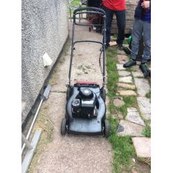 Mountfield petrol mower