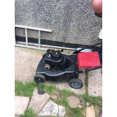 Mountfield petrol mower