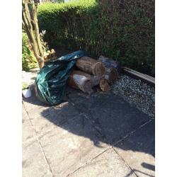 Fire logs for sale