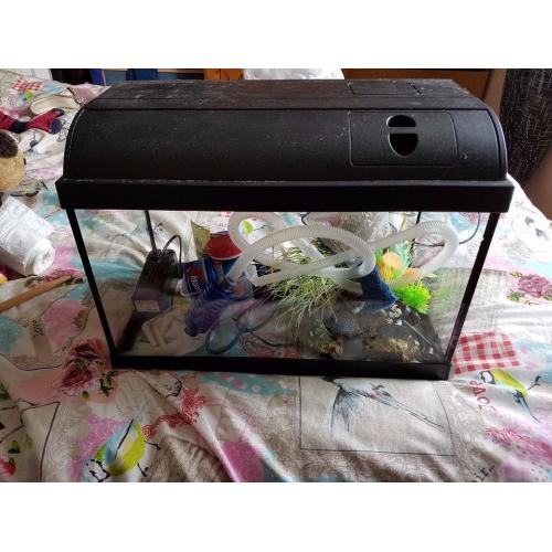 40 litre fish tank