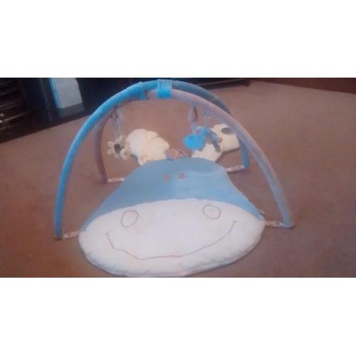 Baby Playmat