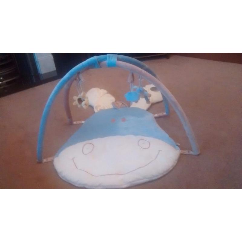 Baby Playmat