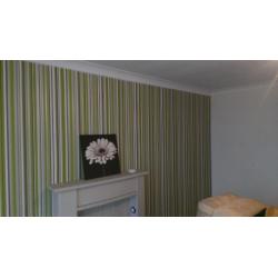 Painting and Decorating