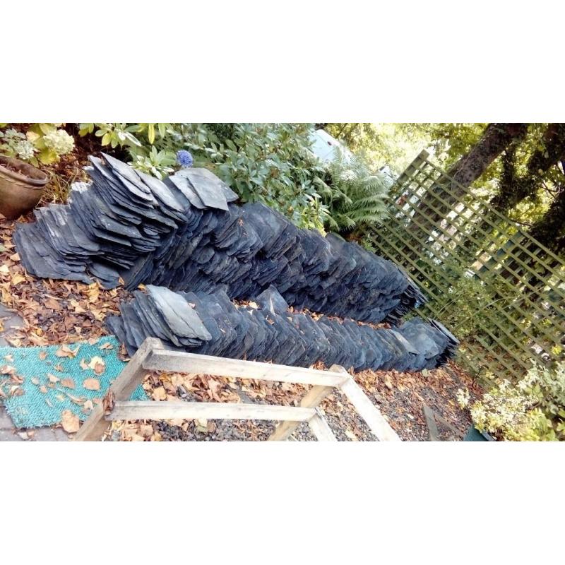 1300 quality scotch roof slate
