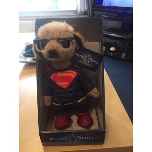 Meerkats