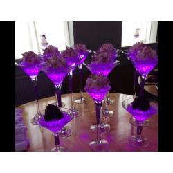 LARGE WEDDING PARTY PLANNERS JOB LOT