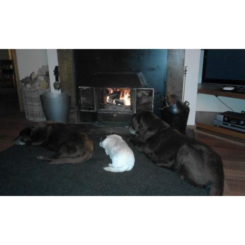 FIREWOOD LOGS -- Hard & Soft