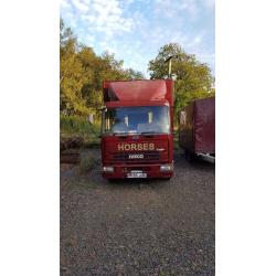 Iveco horsebox