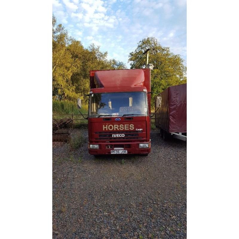 Iveco horsebox