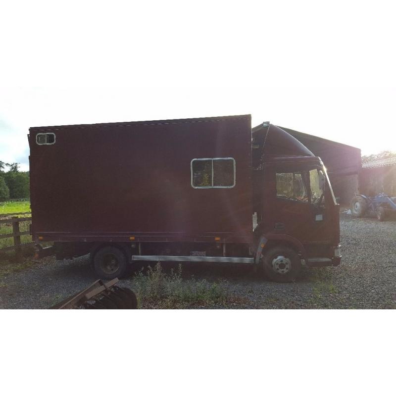 Iveco horsebox