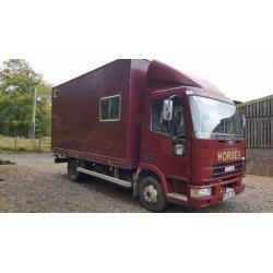 Iveco horsebox