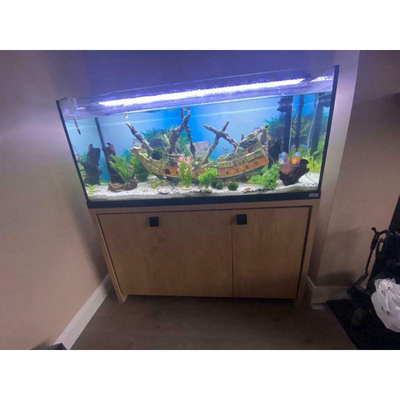Fluval Roma fish tank