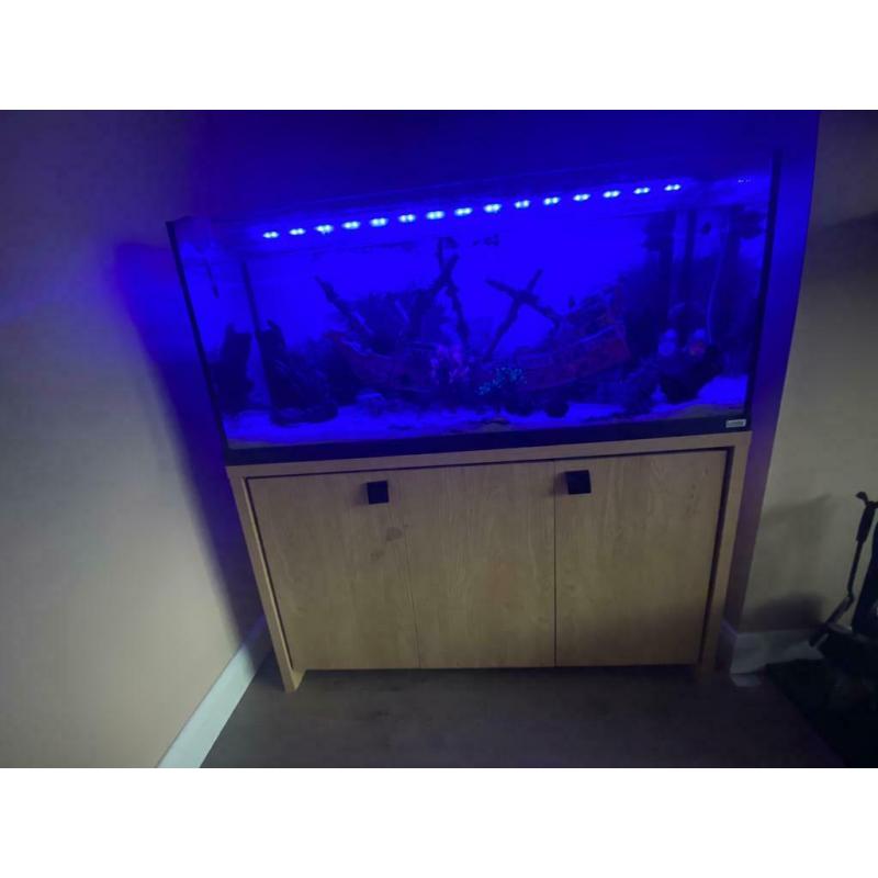 Fluval Roma fish tank