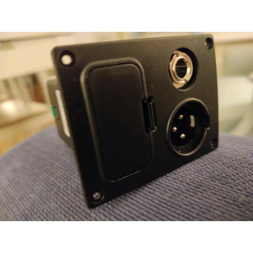 Ibanez Genuine Acoustic Guitar & Bass Battery Box & Jack Input Combo