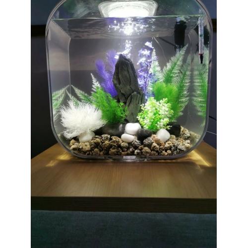 Biorb Fish Tank & Accessories