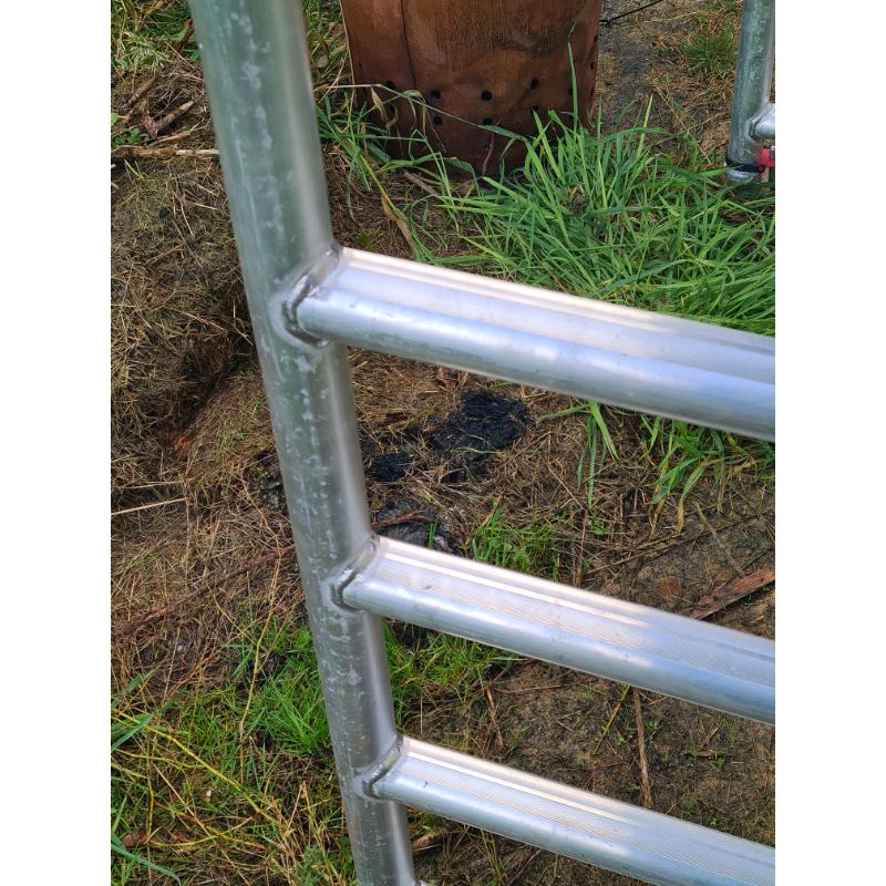 Scaffolding like new