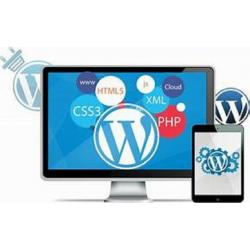 PROFESSIONAL N RESPONSIVE WORDPRESS WEBSITE DESIGN