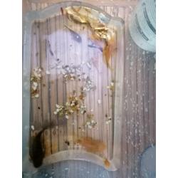 Plecs/fish for sale