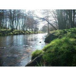 Wheelchair friendly static caravan close to Scottish Borders, Northumberland