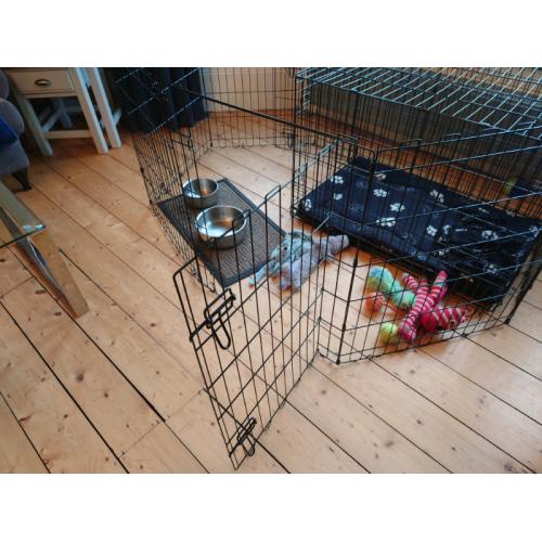 Puppy crate and pen