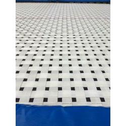 PROFESSIONAL TRAMPOLINE