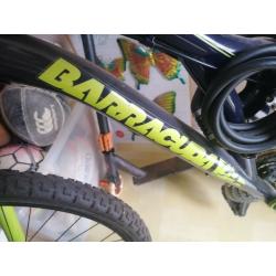 Barracuda bike 26"