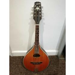 Mini Mandolin - music instrument - excellent condition - Bristol City centre -
