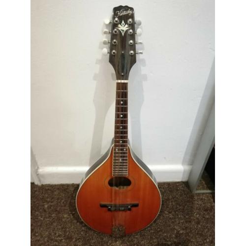 Mini Mandolin - music instrument - excellent condition - Bristol City centre -