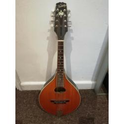 Mini Mandolin - music instrument - excellent condition - Bristol City centre -