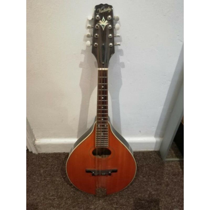 Mini Mandolin - music instrument - excellent condition - Bristol City centre -