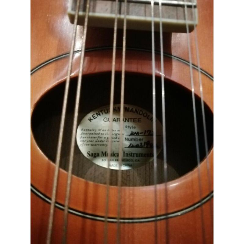 Mini Mandolin - music instrument - excellent condition - Bristol City centre -